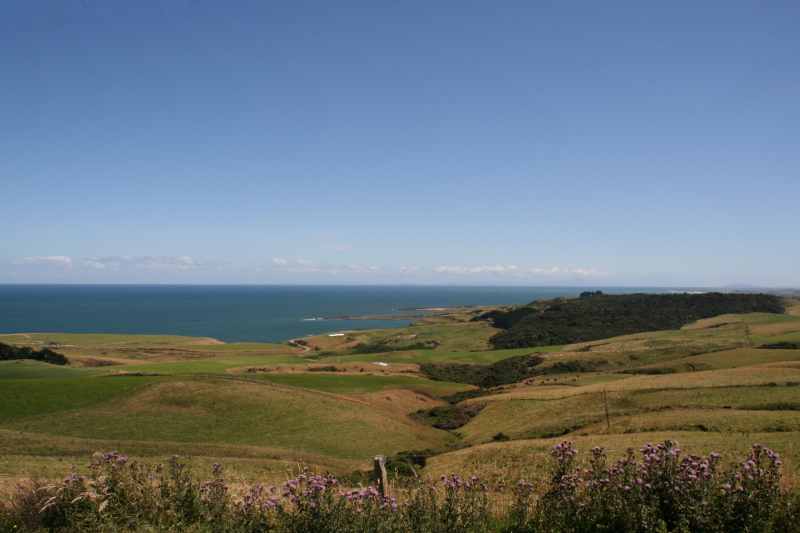 Nieuw-Zeeland 2011 - 1792